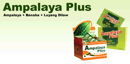 Title:CWNet: Causal Wavelet Network for Low-Light Image Enhancement