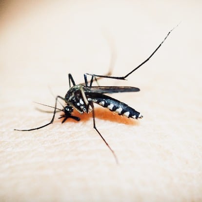 Dengue NS1 Test Philippines