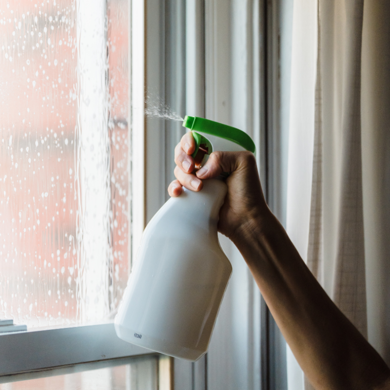 Solution For Molds Rainy Season