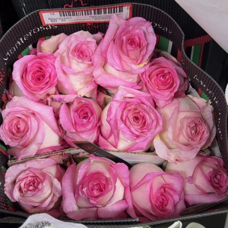 Dangwa Flowers Valentines 2026