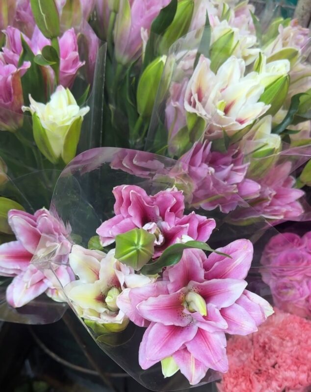 Dangwa Flowers Valentines 2026